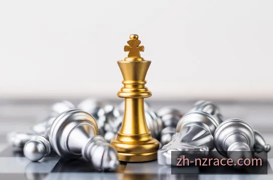 新西兰赛车数字化仪表盘